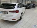 Skoda Octavia Combi Ambition LED Navi 1. Hd Weiß - thumbnail 3