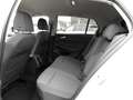 Volkswagen Golf VIII 1,0 TSI Move ACC App-Connect PDC R-Kamera Weiß - thumbnail 11