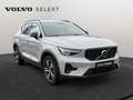 Volvo XC40 B3 Plus Dark  / Essence Gris - thumbnail 7