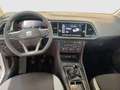 SEAT Ateca Reference Edition 1.0 TSI Weiß - thumbnail 10