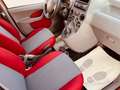 Fiat Panda 4X4 CLIMBING 1.2 BENZINA UNIPRO' Rouge - thumbnail 10