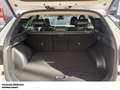 Hyundai TUCSON PRIME 1.6 T-GDI (160 PS) 48V 7-DCT 2WD AHK Assiste Weiß - thumbnail 7