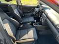SEAT Leon 1.9 TDI Top Sport 130CV*CERCHI*CLIMA Grigio - thumbnail 9
