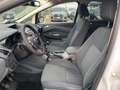 Ford C-Max 7 1.6 TDCi 116CV Titanium Bianco - thumbnail 9