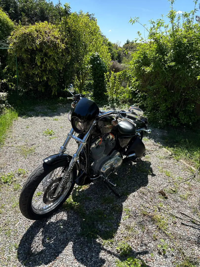 Harley-Davidson Sportster 883 883 XL - 1