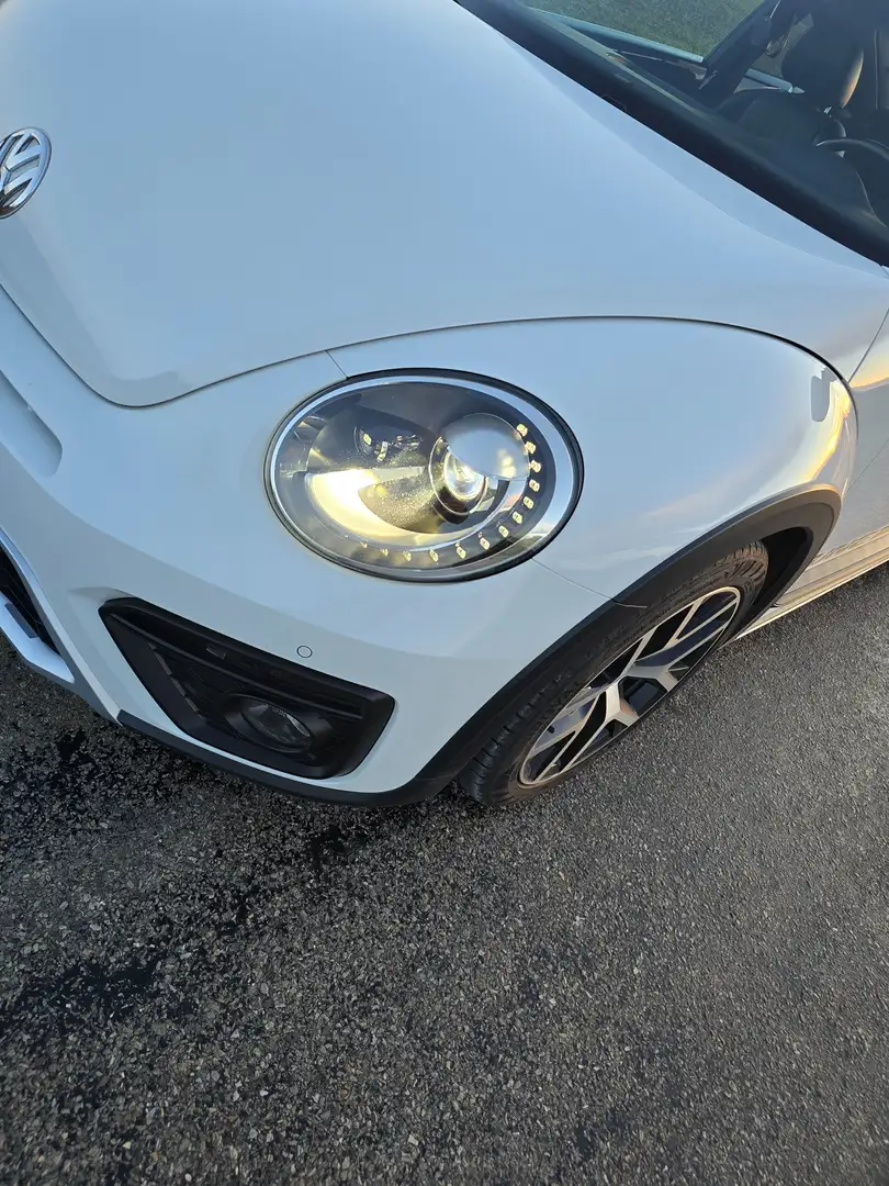 Volkswagen Beetle Beetle 1.2 TSI Dune Wit - 1