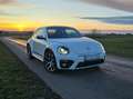 Volkswagen Beetle Beetle 1.2 TSI Dune Wit - thumbnail 3