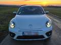 Volkswagen Beetle Beetle 1.2 TSI Dune Wit - thumbnail 8