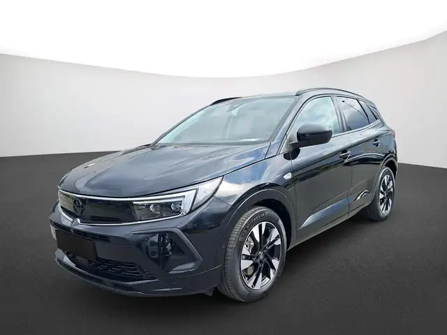 Opel Grandland X view 2