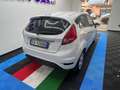 Ford Fiesta Fiesta 1.4 TDCi 70CV 5 porte Blanc - thumbnail 6