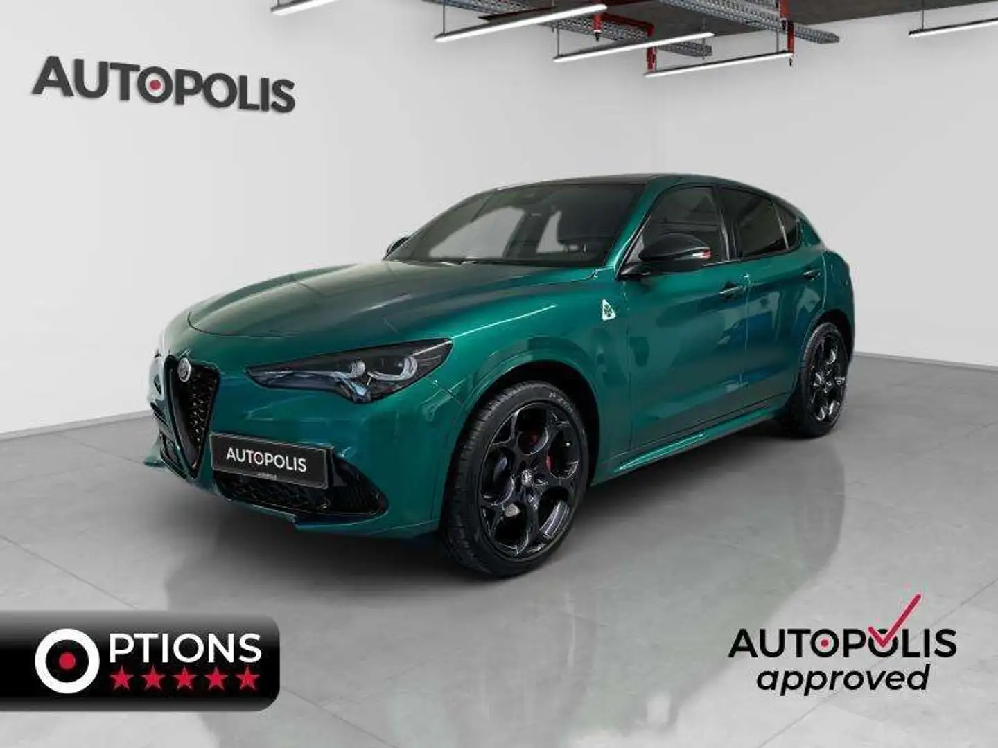 Alfa Romeo Stelvio 2.2 Vert - 1