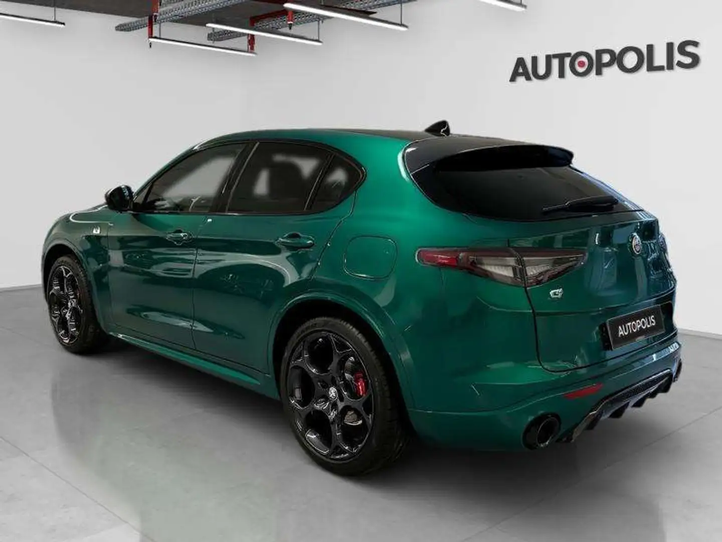 Alfa Romeo Stelvio 2.2 Vert - 2
