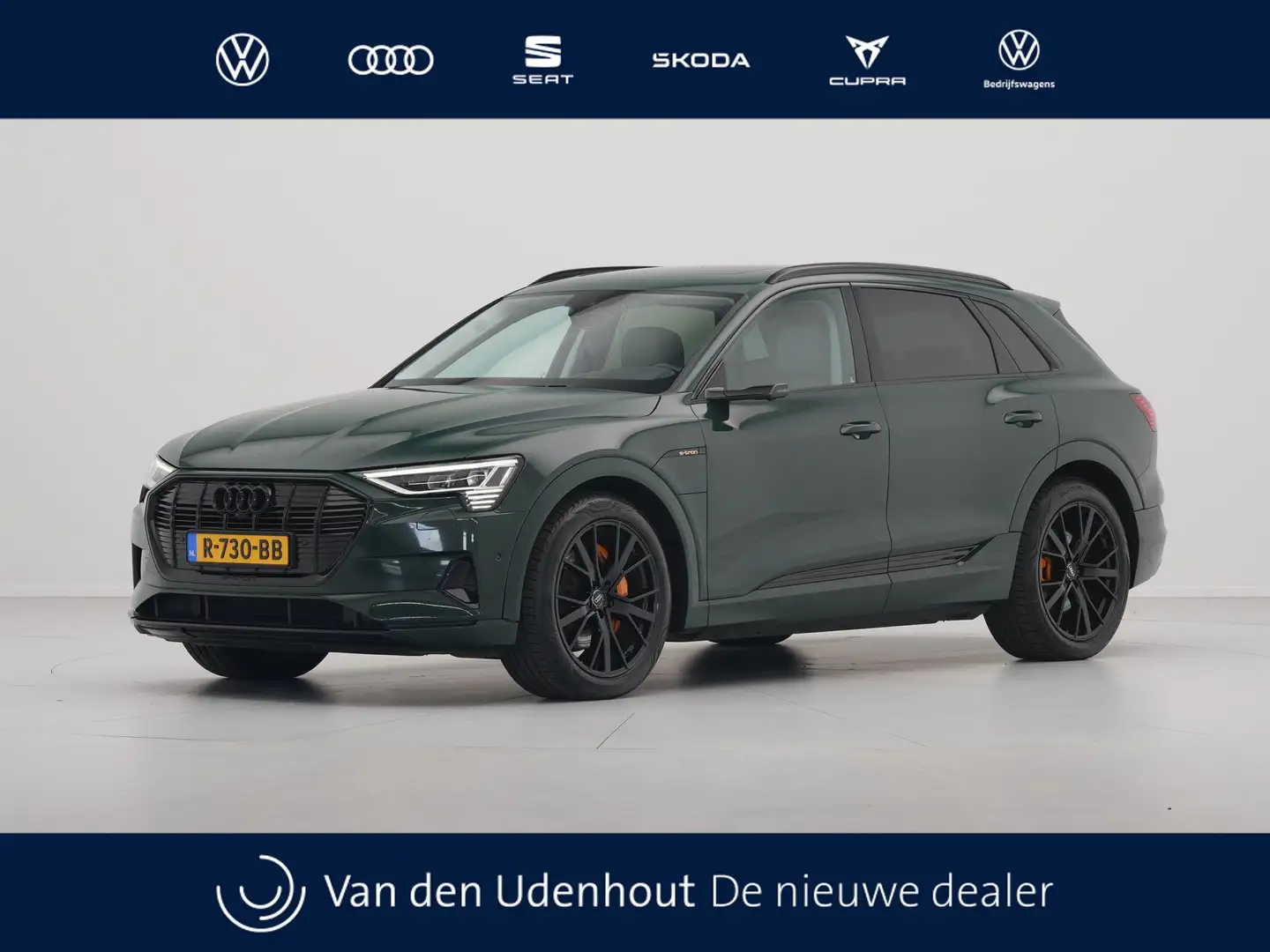 Audi e-tron 55 quattro 408pk advanced Pro Line Plus 95 kWh Pan Vert - 1