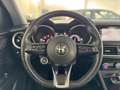 Alfa Romeo Stelvio Stelvio 2.2 Turbodiesel 190 CV AT8 Q4 Business Rood - thumbnail 10