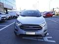 Ford EcoSport 1.0 EcoBoost 100 CV Business Argento - thumbnail 3
