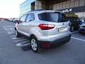 Ford EcoSport 1.0 EcoBoost 100 CV Business Argento - thumbnail 5