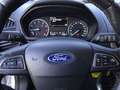 Ford EcoSport 1.0 EcoBoost 100 CV Business Argento - thumbnail 13