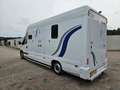 Renault Master 3.5T Paardenwagen 22M3 2.5 D Onbekend Blanc - thumbnail 3