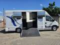 Renault Master 3.5T Paardenwagen 22M3 2.5 D Onbekend Blanc - thumbnail 9