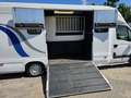 Renault Master 3.5T Paardenwagen 22M3 2.5 D Onbekend Blanc - thumbnail 11