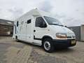 Renault Master 3.5T Paardenwagen 22M3 2.5 D Onbekend Blanc - thumbnail 12