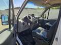 Renault Master 3.5T Paardenwagen 22M3 2.5 D Onbekend Blanc - thumbnail 19
