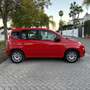 Fiat Panda 1.2 Easy Rosso - thumbnail 4