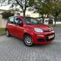 Fiat Panda 1.2 Easy Rojo - thumbnail 3