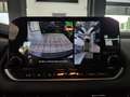 Nissan Qashqai 1.3 mhev Business 2wd 140cv Grigio - thumbnail 14