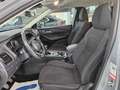 Nissan Qashqai 1.3 mhev Business 2wd 140cv Grigio - thumbnail 11