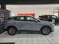 Nissan Qashqai 1.3 mhev Business 2wd 140cv Grigio - thumbnail 6