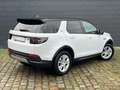 Land Rover Discovery Sport D150 FWD SE Weiß - thumbnail 2