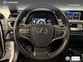 Lexus UX 300e Business Wit - thumbnail 17