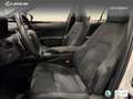 Lexus UX 300e Business Wit - thumbnail 15
