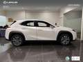 Lexus UX 300e Business Wit - thumbnail 3