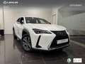 Lexus UX 300e Business Wit - thumbnail 12