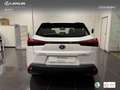 Lexus UX 300e Business Wit - thumbnail 5