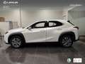 Lexus UX 300e Business Wit - thumbnail 13
