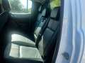 Ford Ranger KM (0) IVA COMPRESA Bianco - thumbnail 11
