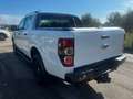 Ford Ranger KM (0) IVA COMPRESA Bianco - thumbnail 6