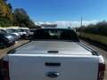 Ford Ranger KM (0) IVA COMPRESA Bianco - thumbnail 9