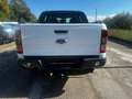 Ford Ranger KM (0) IVA COMPRESA Bianco - thumbnail 7