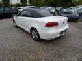 Volkswagen Eos (1F8)(11.2010->2015) Basis Blanc - thumbnail 7