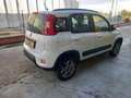 Fiat Panda 0.9 TwinAir Turbo 4x4 NEOPATENTATI Bianco - thumbnail 11