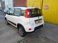 Fiat Panda 0.9 TwinAir Turbo 4x4 NEOPATENTATI Bianco - thumbnail 10