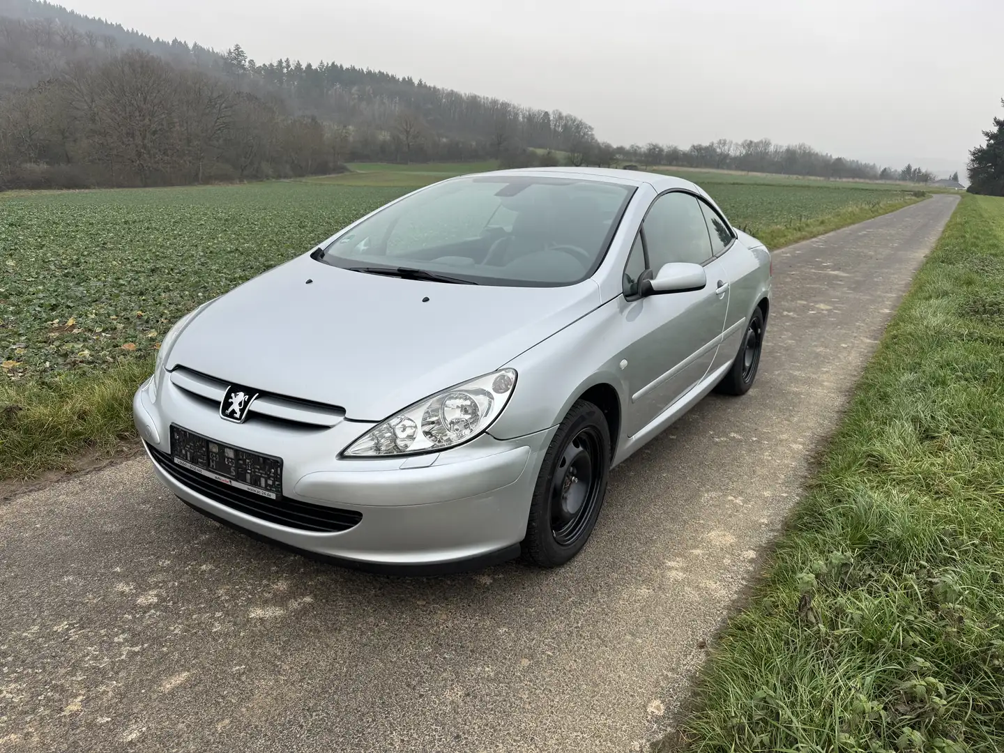 Peugeot 307 CC 135 - 1
