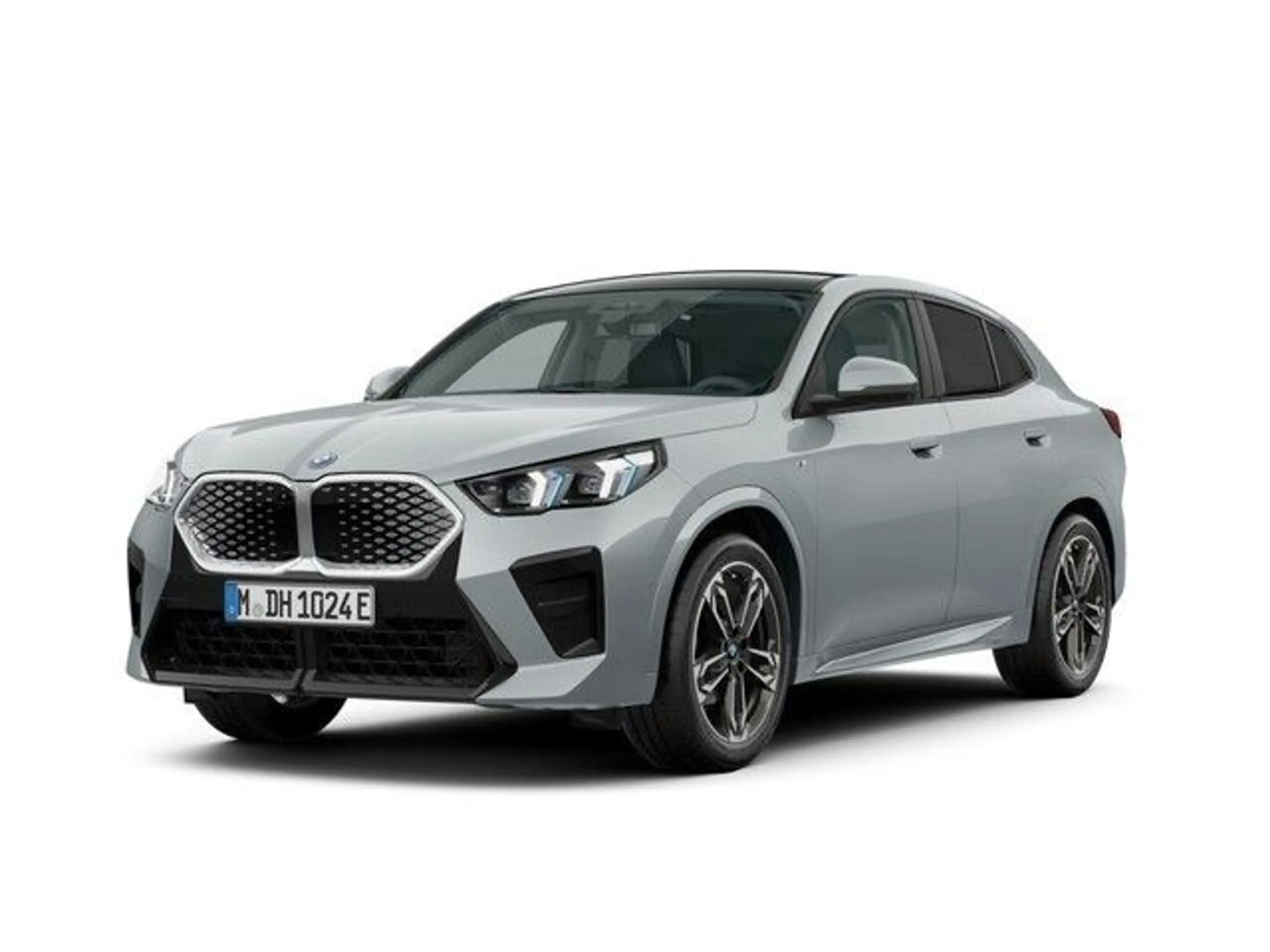 BMW iX2 ix2 eDrive20 M Sportpaket Panorama Head-Up AHK I