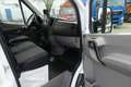 Mercedes-Benz Sprinter 316 NGT L2H2 Erdgas*StHz*Klima*AHK*Kam* Weiß - thumbnail 12