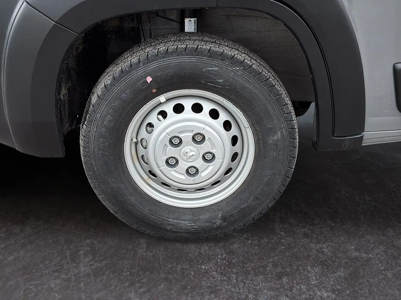 RAM Promaster снимка RAM Promaster