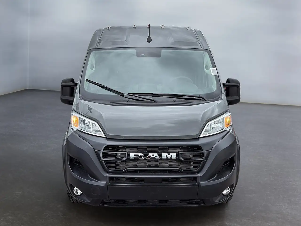 RAM Promaster снимка RAM Promaster